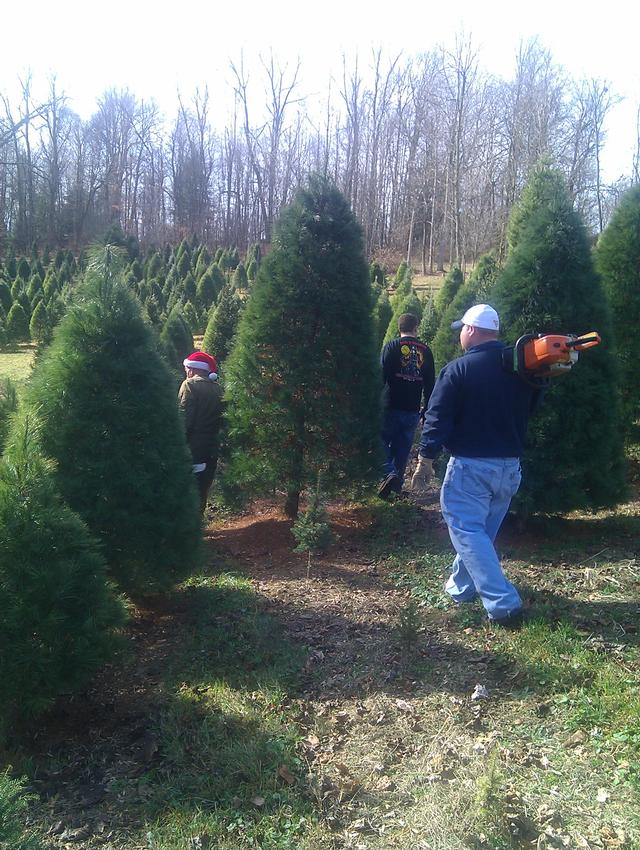 FF's M. Hammack and D. Angus looking for the perfect tree. 11/19/2011
(FF. Claus even showed up)