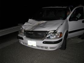 Car vs Cow I-79 9/10/10